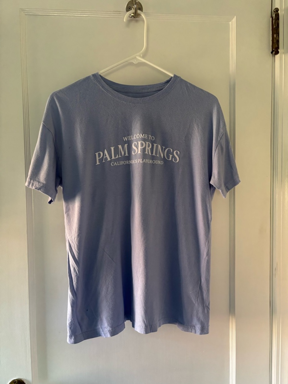 Abercrombie & Fitch Light Blue Palm Springs Graphic Tee